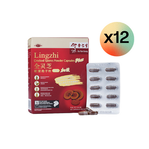 Lingzhi Cracked Spores Powder Capsules Plus - 12 Boxes (全靈芝破壁孢子粉膠囊加效 - 12盒) - Blister